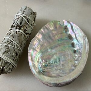 Abalone Shell with Sage Bundle